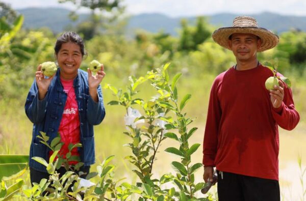 ของขวัญเพื่อการเกษตร เพื่อความอยู่ดีมีสุขของทั้งชุมชน